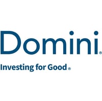2026 Domini Logo and Tagline Blue-1 2026 Domini Logo and Tagline Blue-1